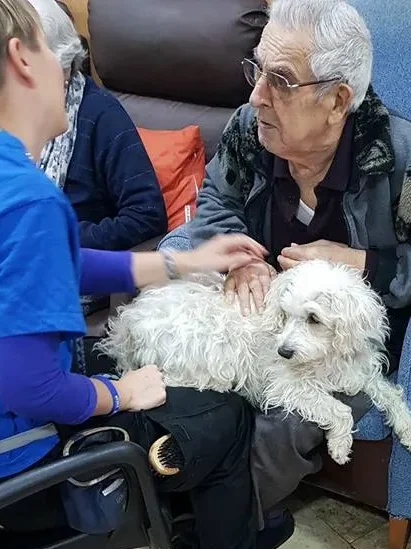 Visita de terapia con perro