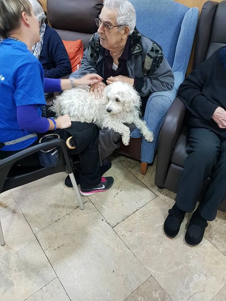 Visita de terapia con perro